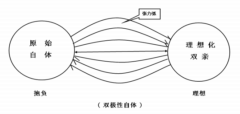 双极性自体.png