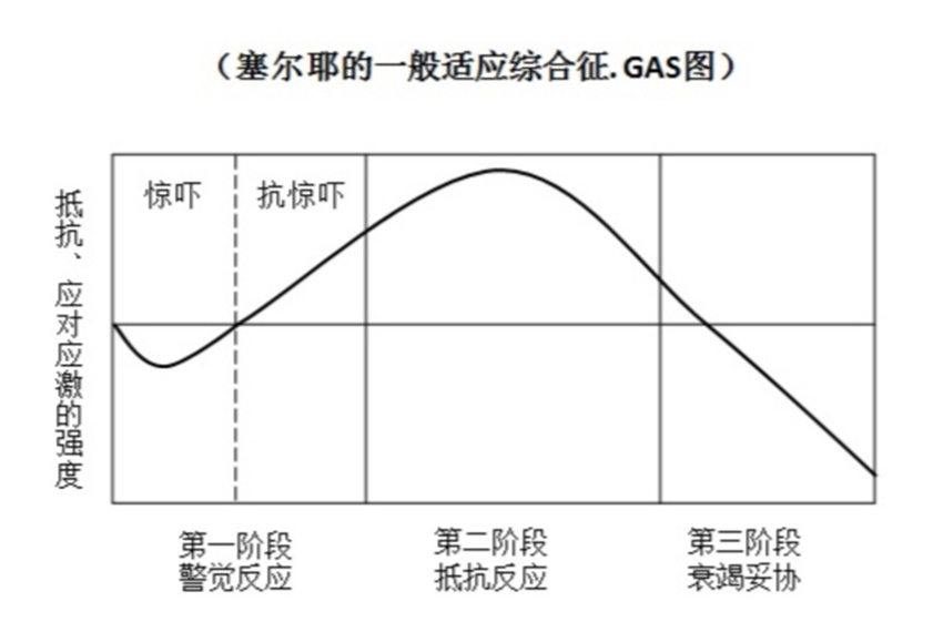 图片1_副本.png